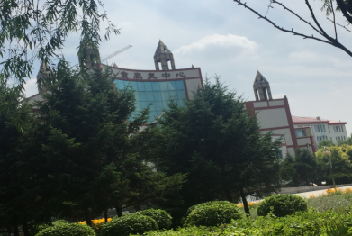 兒童福利院 兒童福利院