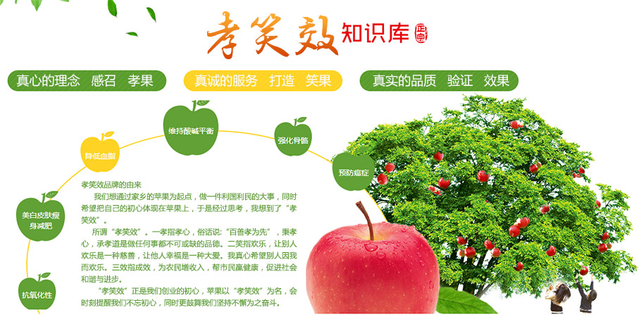 凱鴻沈陽網站建設制作公司以互聯網搜索引擎打造綠色有機健康的崧之毓初級農產品循環鏈