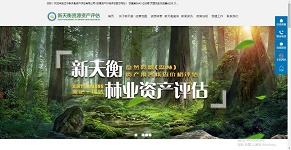 凱鴻沈陽網站制作建設公司以搜索引擎方式為遼寧新天衡資產評估有限公司推廣精準評估新模式