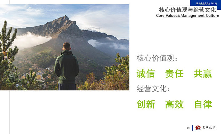 創新 高效 自律