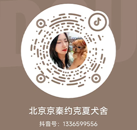 北京唯寵匯網絡科技有限公司
